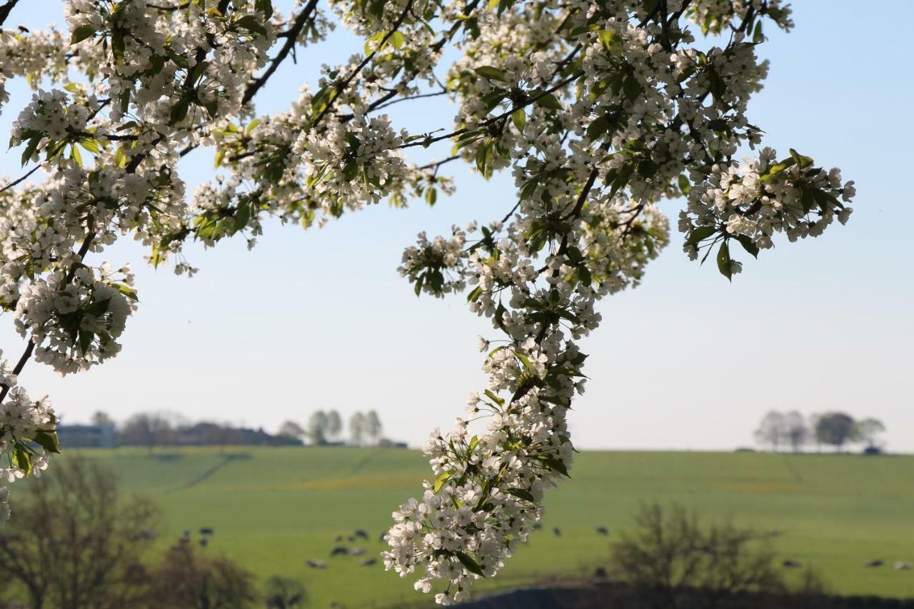 Domein Hellebeuk Valkenburg/Klimmen Βίλα Εξωτερικό φωτογραφία
